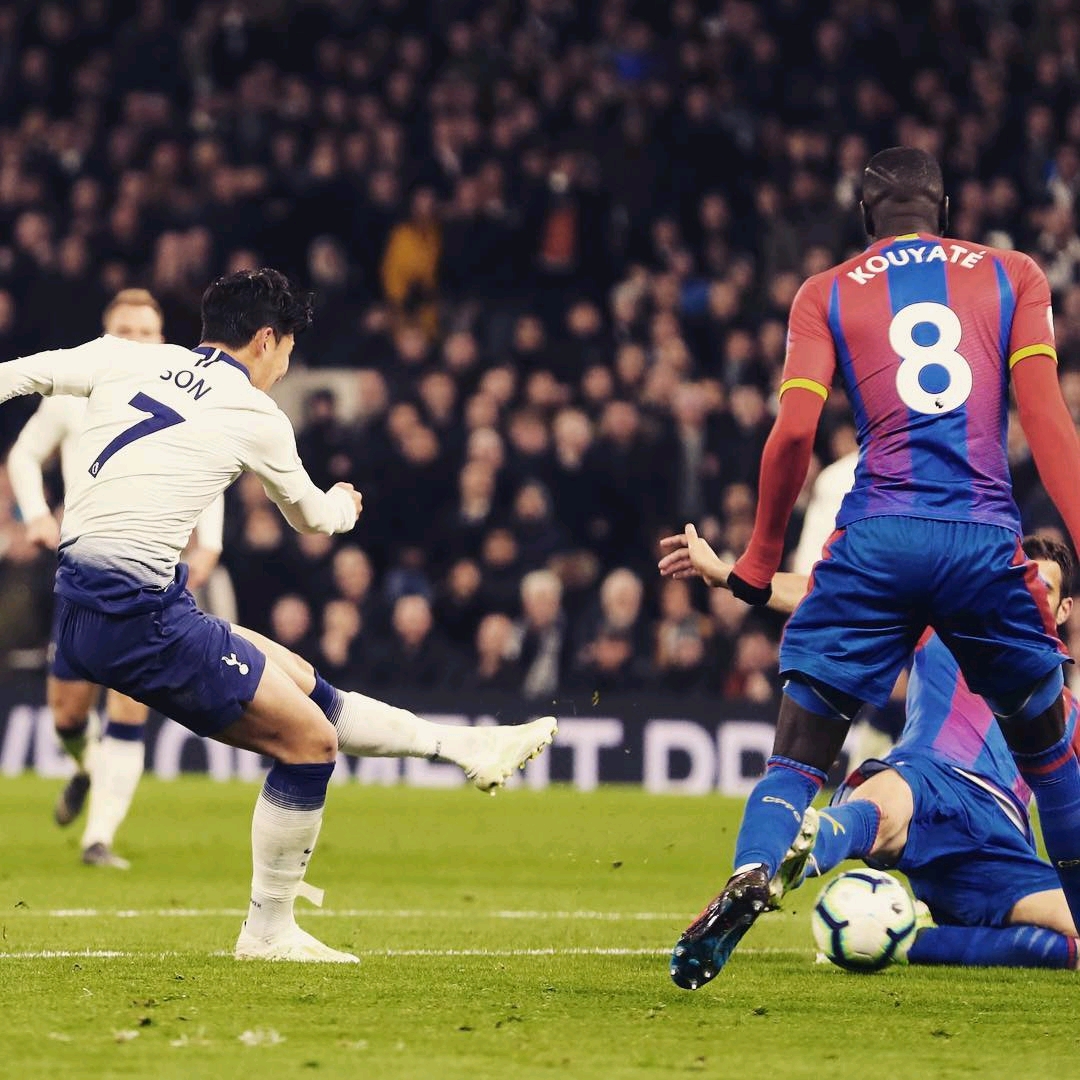 兹曼的职业 兹曼的职业